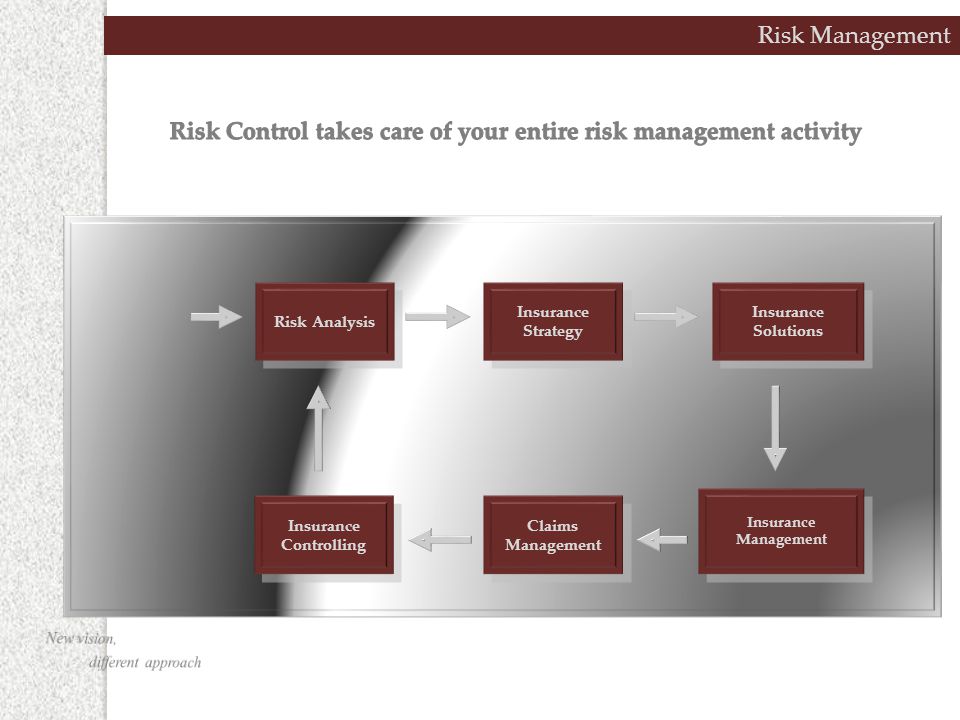 Risk Management Risk Analysis Insurance Strategy Insurance Solutions Insurance Controlling Insurance Controlling Claims Management Insurance Management