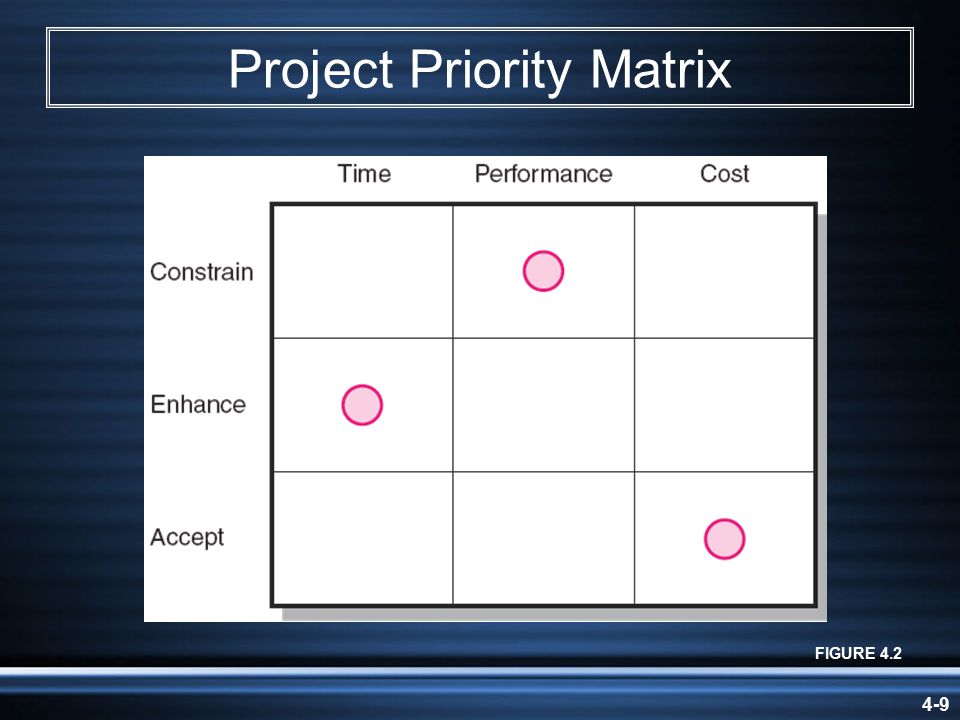 4-9 Project Priority Matrix FIGURE 4.2
