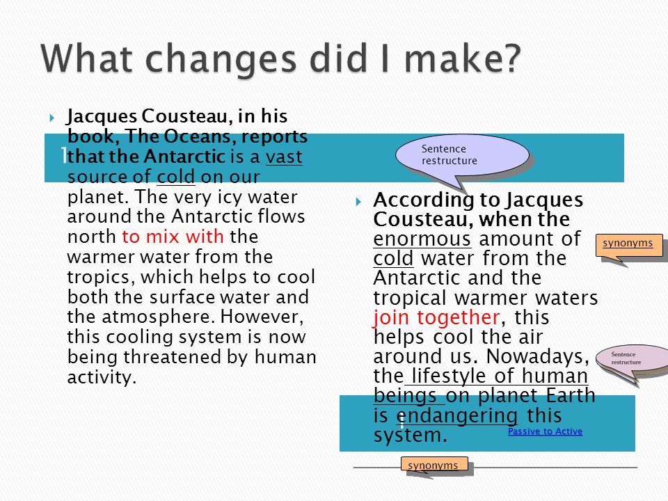 essay example about yourself kindness