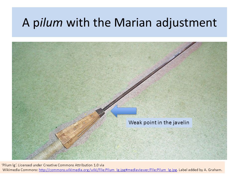 A pilum with the Marian adjustment ‘Pilum lg’.