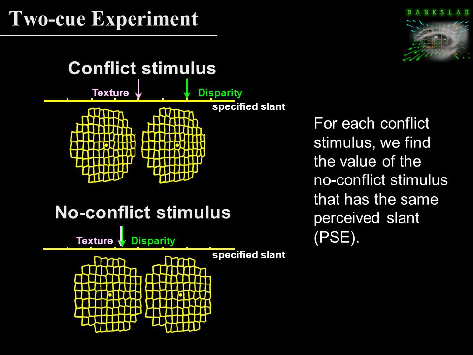 Two-cue Experiment No-conflict stimulus DisparityTexture specified slant Conflict stimulus DisparityTexture specified slant For each conflict stimulus, we find the value of the no-conflict stimulus that has the same perceived slant (PSE).