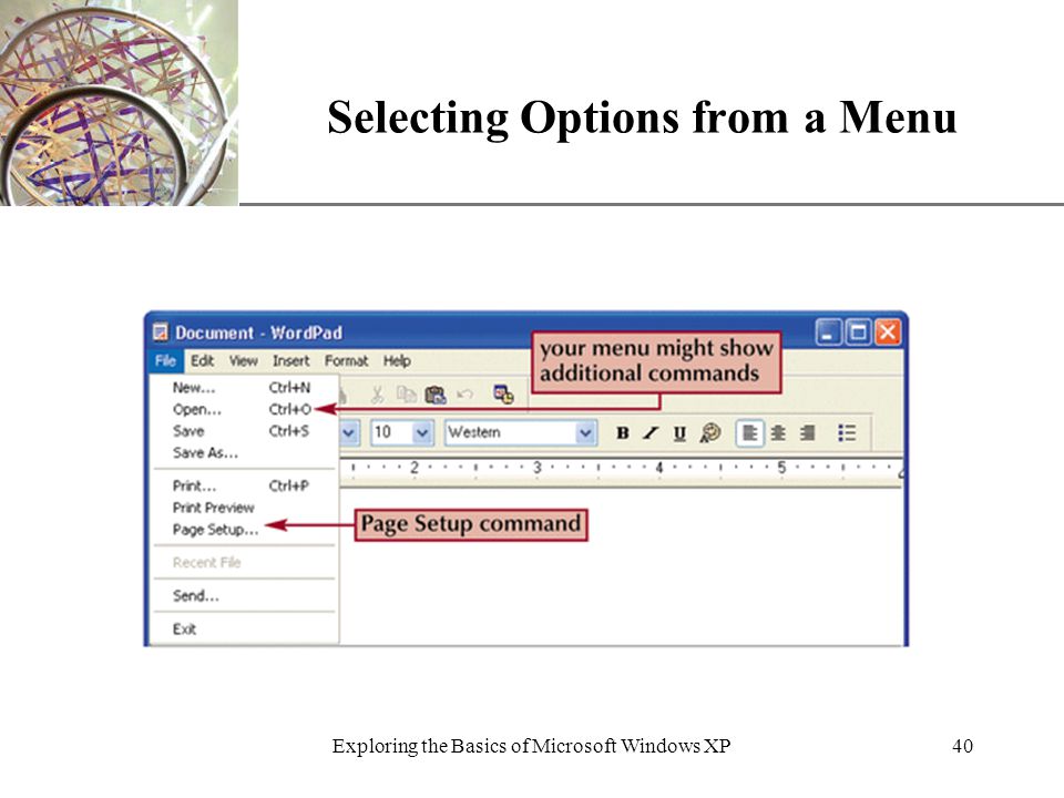XP Exploring the Basics of Microsoft Windows XP40 Selecting Options from a Menu