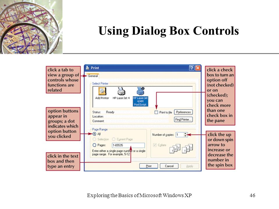 XP Exploring the Basics of Microsoft Windows XP46 Using Dialog Box Controls