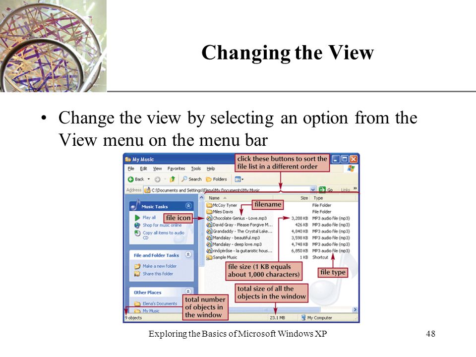 XP Exploring the Basics of Microsoft Windows XP48 Changing the View Change the view by selecting an option from the View menu on the menu bar