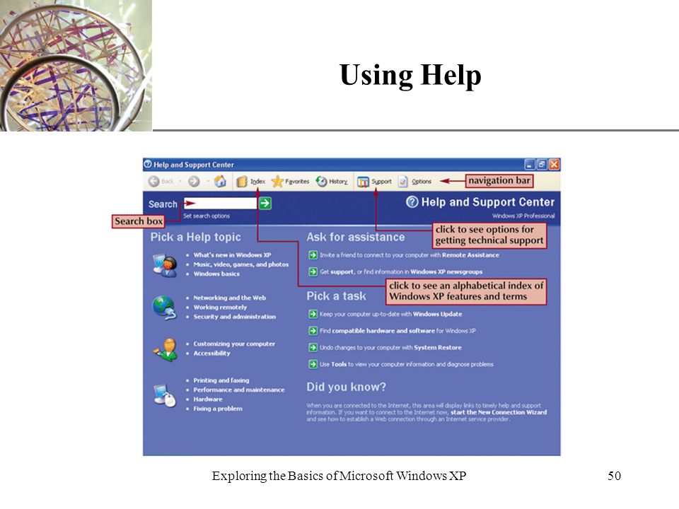 XP Exploring the Basics of Microsoft Windows XP50 Using Help