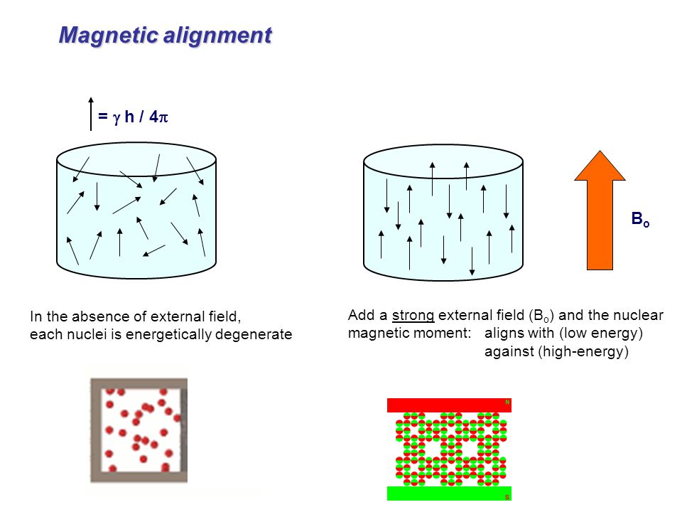 BoBo =  h / 4  Magnetic alignment In the absence of external field, each nuclei is energetically degenerate Add a strong external field (B o ) and the nuclear magnetic moment: aligns with (low energy) against (high-energy)