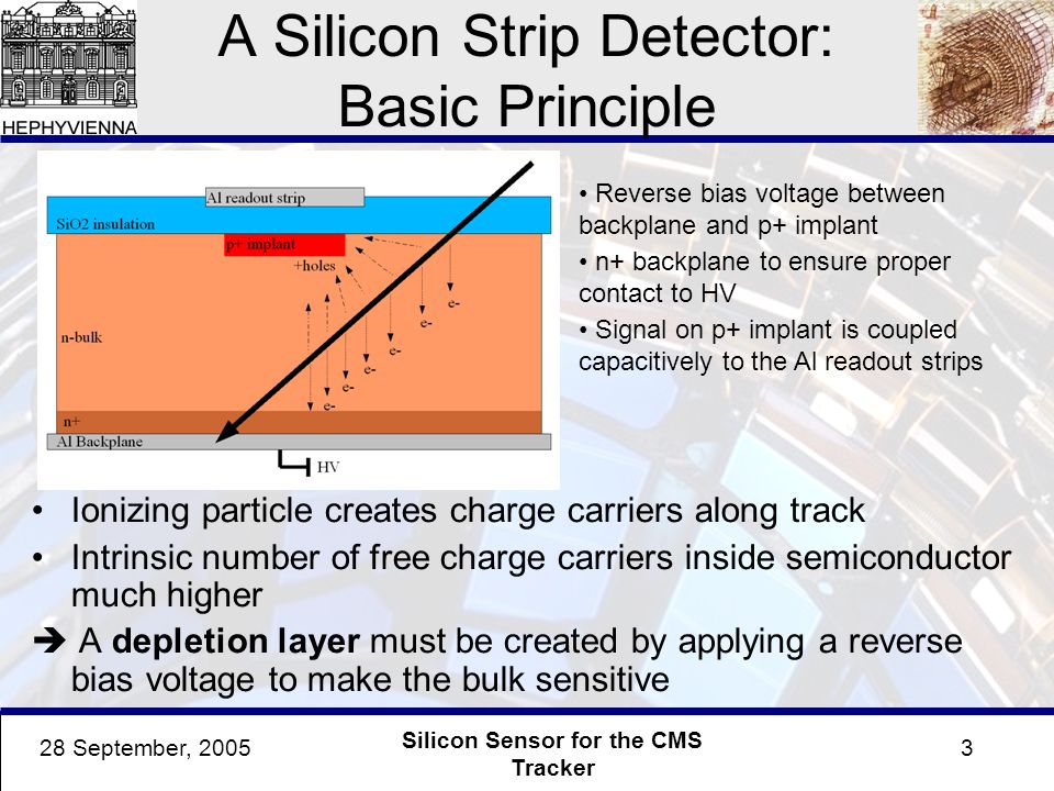 128 September, 2005 Silicon Sensor for the CMS Tracker The Silicon Sensors  for the Inner Tracker of CMS CMS Tracker and it's Silicon Strip Sensors  Radiation. - ppt download