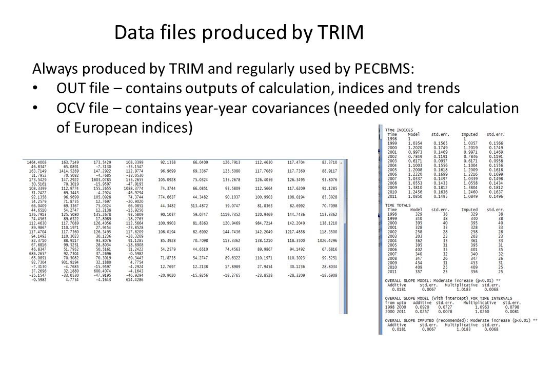 Always produced by TRIM and regularly used by PECBMS: OUT file – contains outputs of calculation, indices and trends OCV file – contains year-year covariances (needed only for calculation of European indices) Data files produced by TRIM