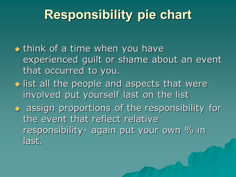 Responsibility Pie Chart Cbt