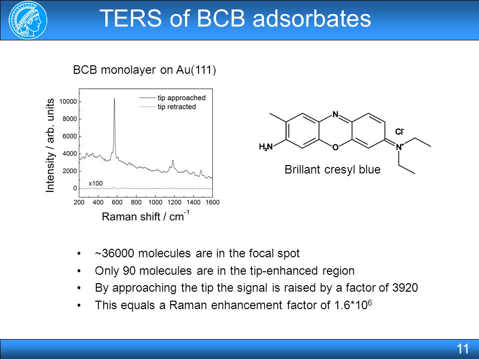 TERS of BCB adsorbates Brillant cresyl blue BCB monolayer on Au(111) ~36000 molecules are in the focal spot Only 90 molecules are in the tip-enhanced region By approaching the tip the signal is raised by a factor of 3920 This equals a Raman enhancement factor of 1.6*