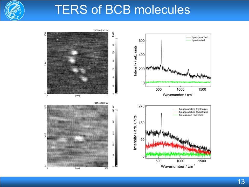 TERS of BCB molecules 13