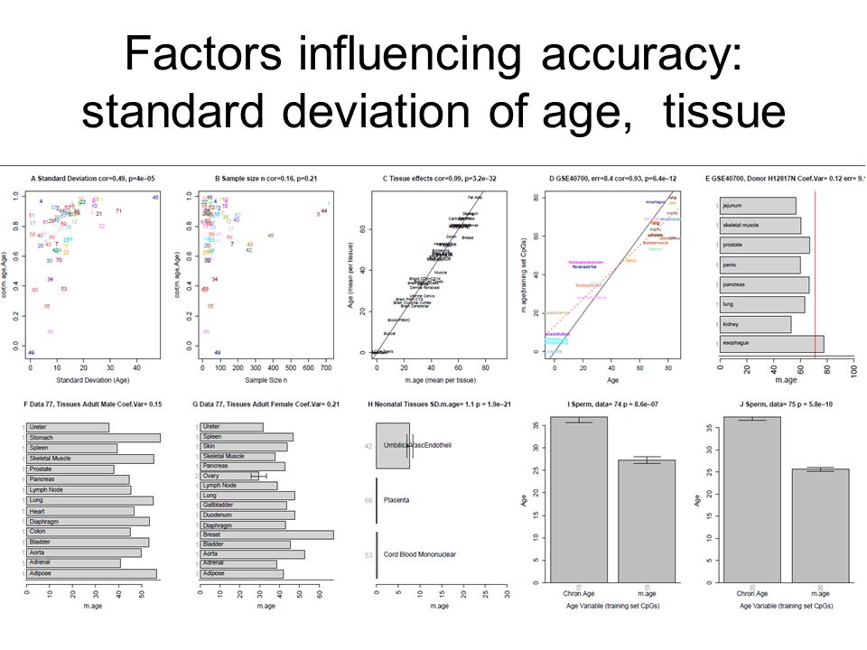 Factors influencing accuracy: standard deviation of age, tissue