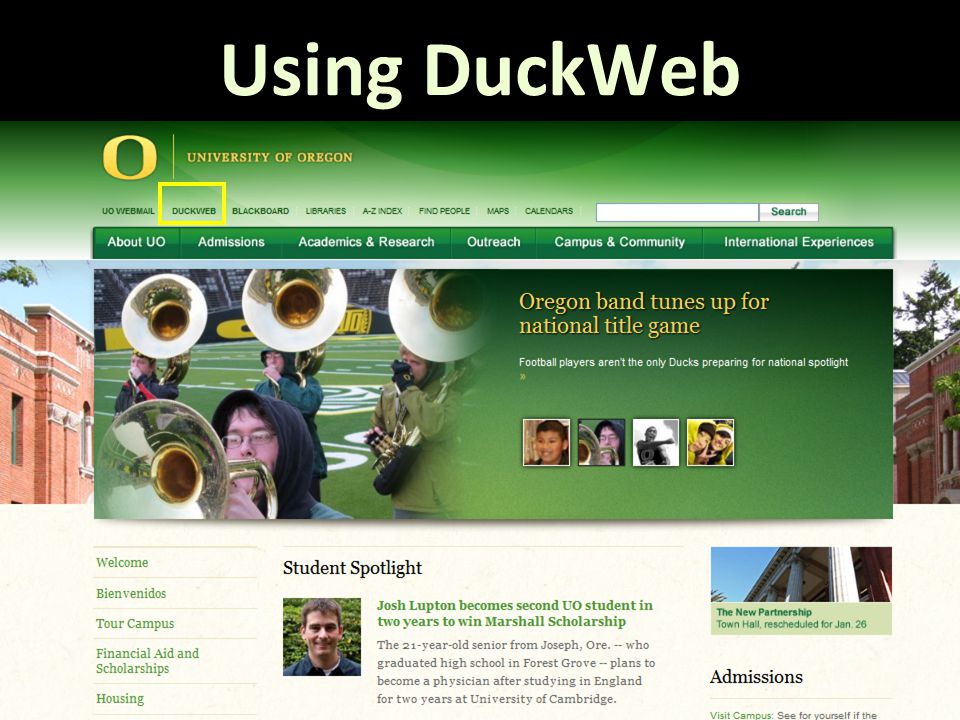 Using DuckWeb
