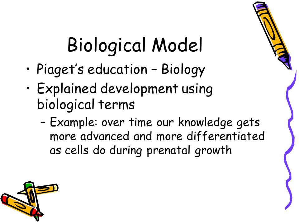 Biological Model Piaget’s education – Biology Explained development using biological terms –Example: over time our knowledge gets more advanced and more differentiated as cells do during prenatal growth
