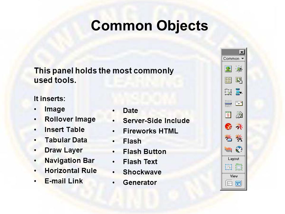 Common Objects It inserts: Image Rollover Image Insert Table Tabular Data Draw Layer Navigation Bar Horizontal Rule  Link Date Server-Side Include Fireworks HTML Flash Flash Button Flash Text Shockwave Generator This panel holds the most commonly used tools.