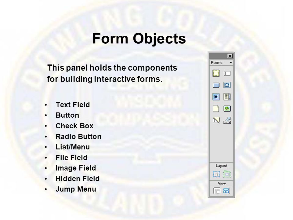 Form Objects Text Field Button Check Box Radio Button List/Menu File Field Image Field Hidden Field Jump Menu This panel holds the components for building interactive forms.