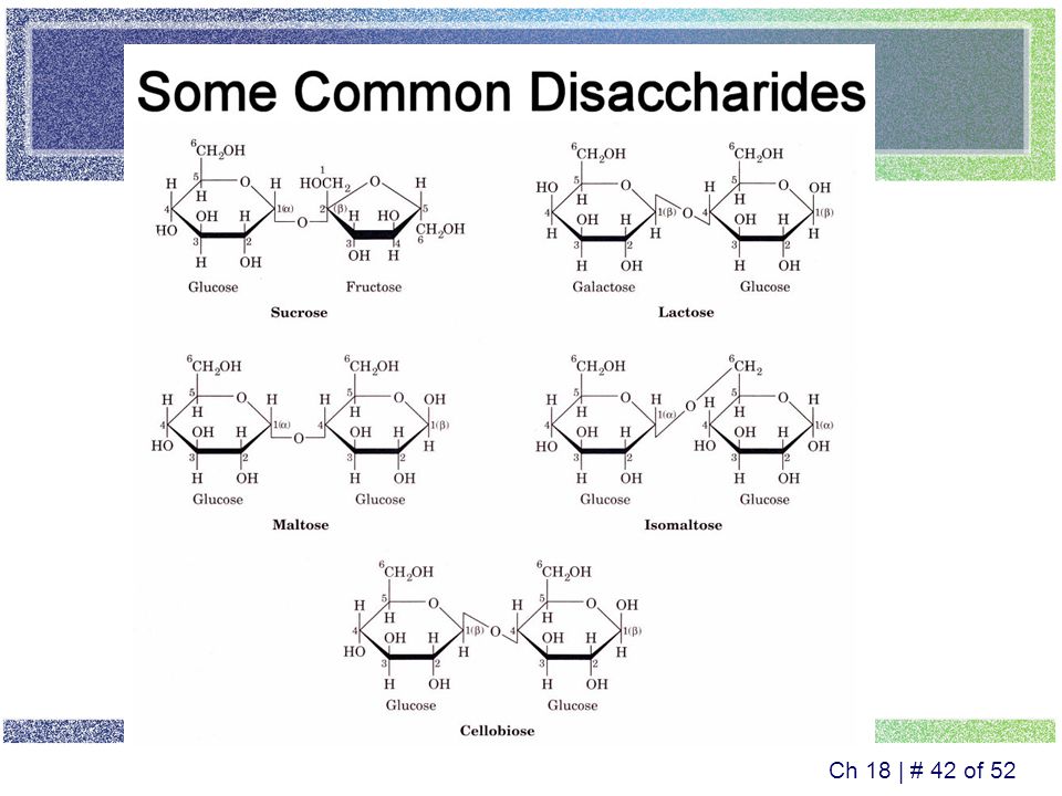 Ch 18 | # 41 of 52 Disaccharides A disaccharide consists of two monosaccharides Glucose + Glucose  Maltose + water Glucose + Galactose  Lactose + water Glucose + Fructose  Sucrose + water