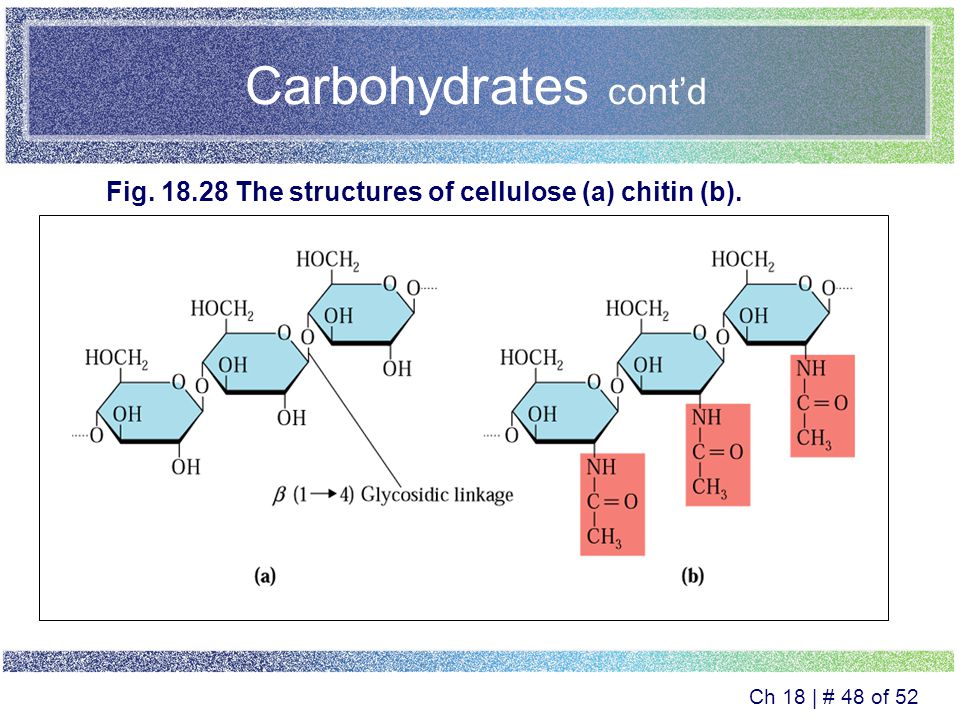 Ch 18 | # 47 of 52 Carbohydrates cont’d