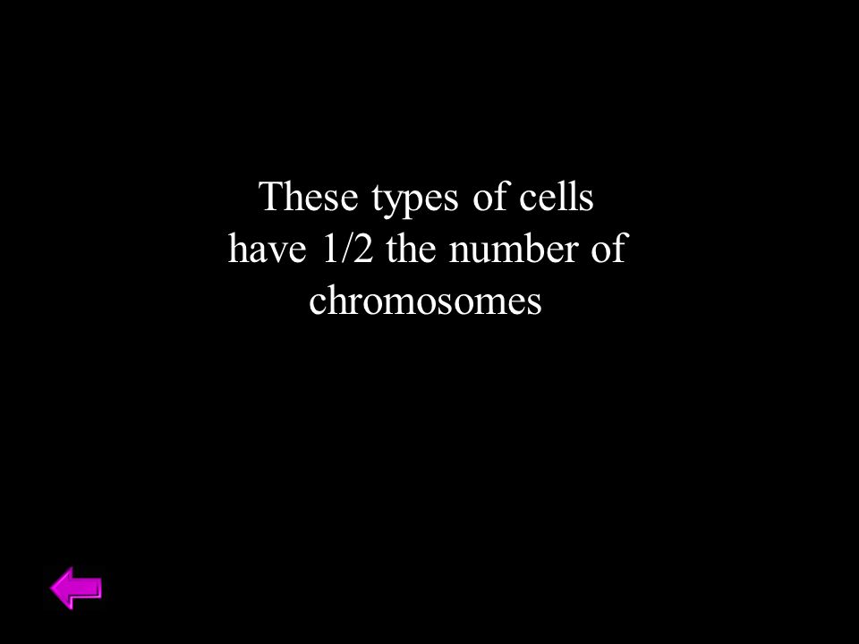 These types of cells have 1/2 the number of chromosomes