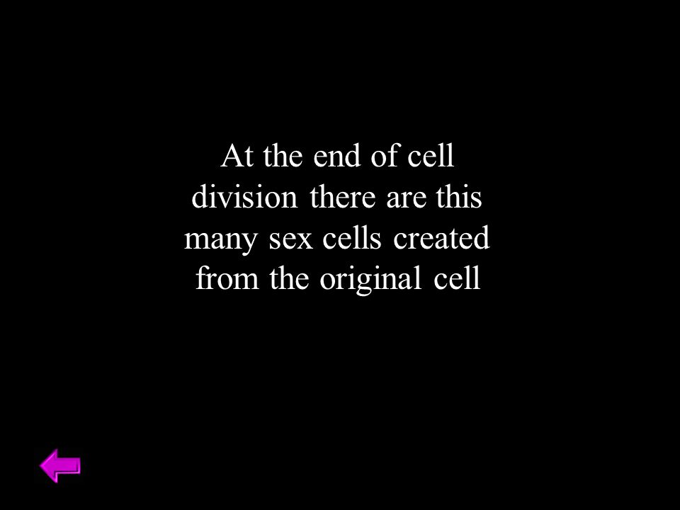 At the end of cell division there are this many sex cells created from the original cell