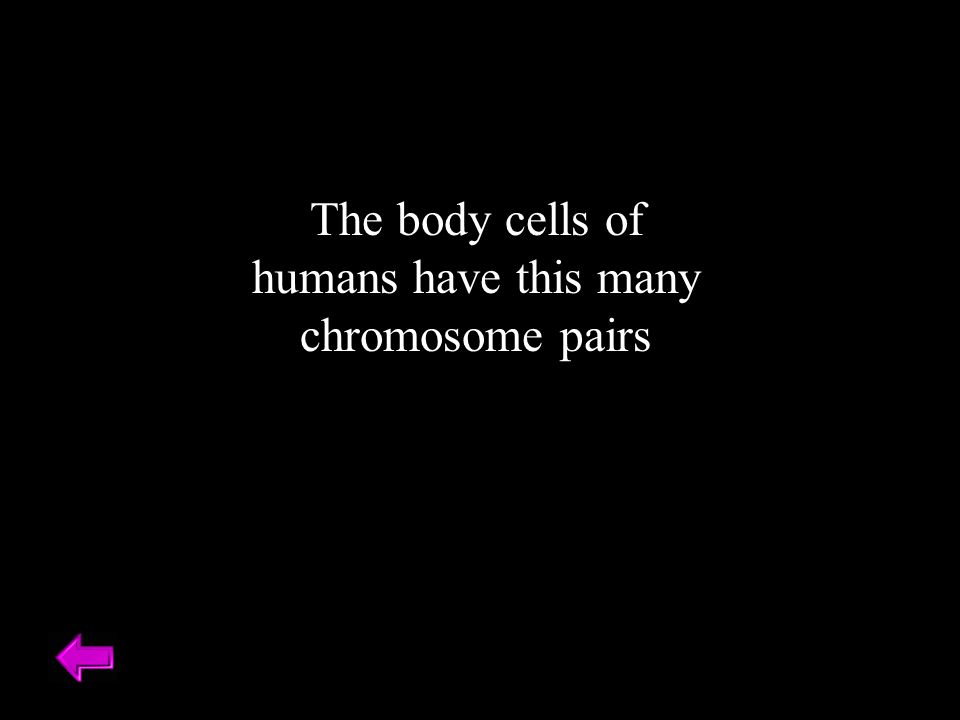 The body cells of humans have this many chromosome pairs