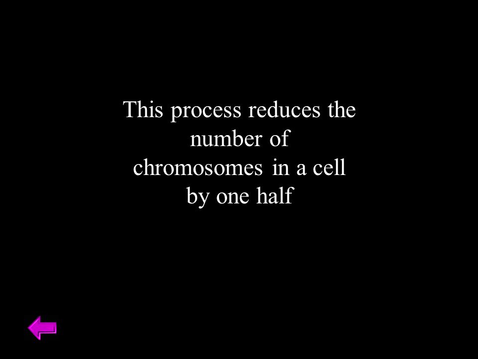 This process reduces the number of chromosomes in a cell by one half