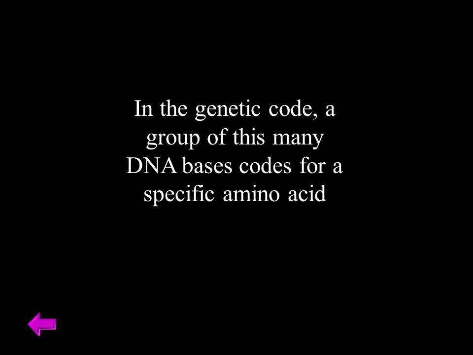 In the genetic code, a group of this many DNA bases codes for a specific amino acid