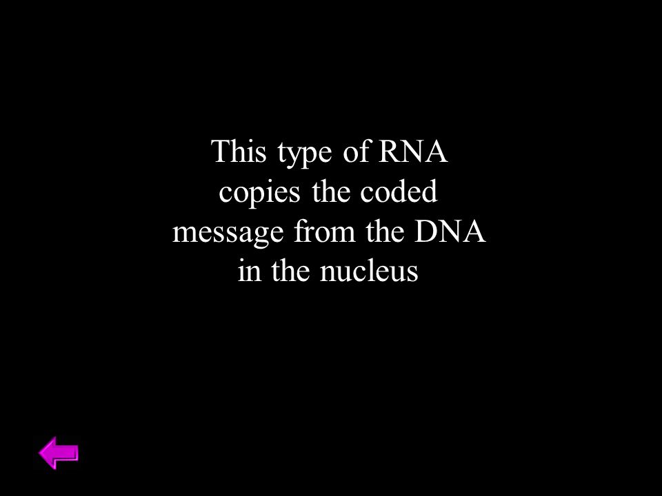 This type of RNA copies the coded message from the DNA in the nucleus
