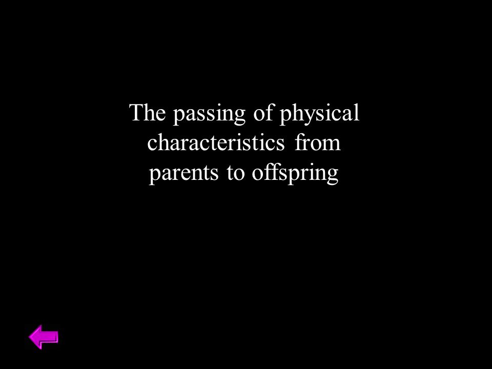 The passing of physical characteristics from parents to offspring