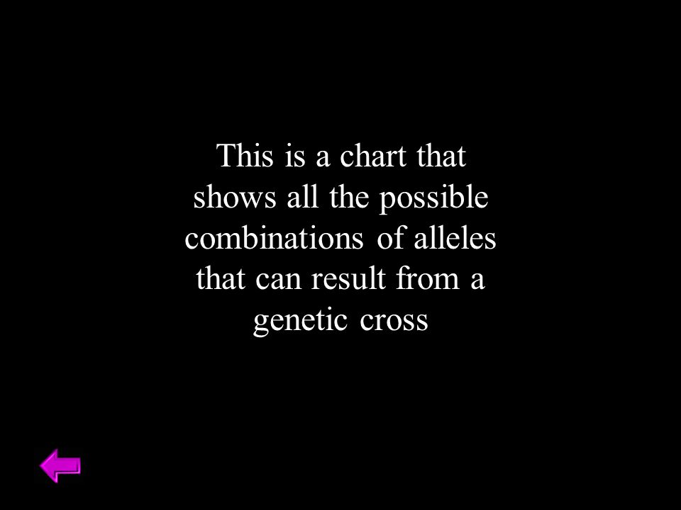 This is a chart that shows all the possible combinations of alleles that can result from a genetic cross