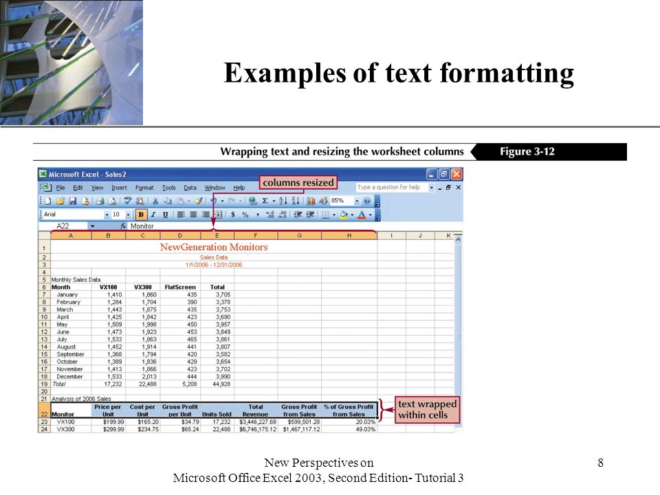 XP New Perspectives on Microsoft Office Excel 2003, Second Edition- Tutorial 3 8 Examples of text formatting
