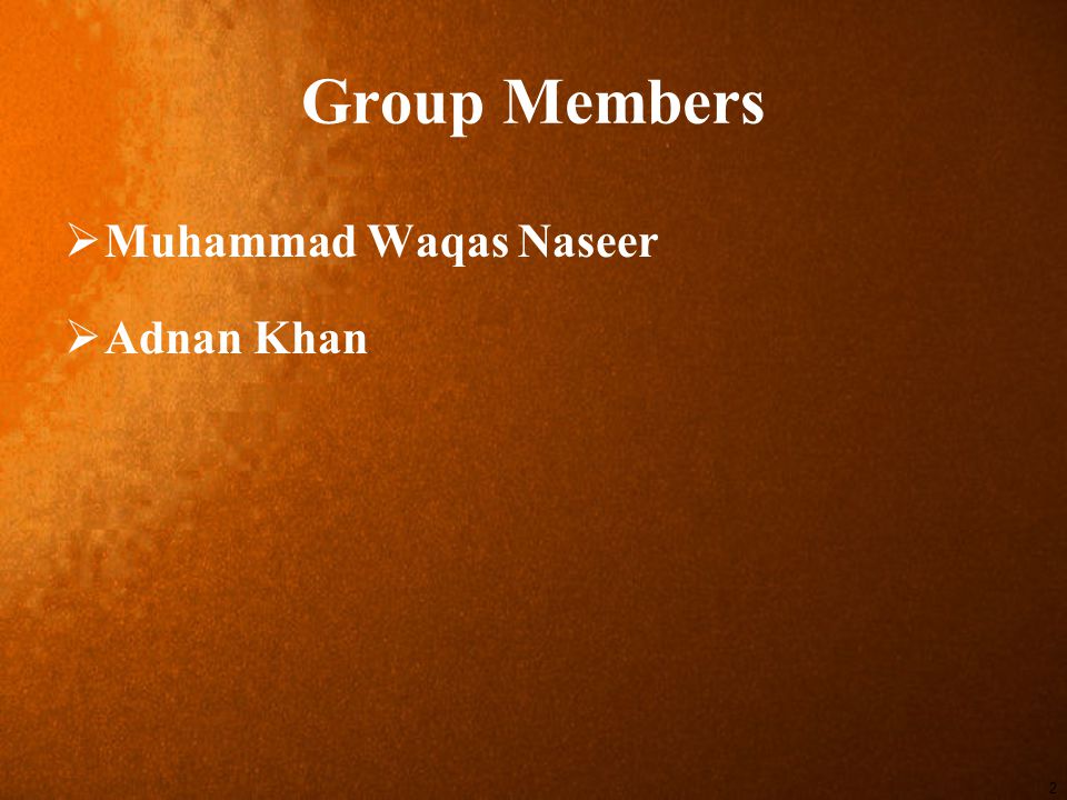 2 Group Members  Muhammad Waqas Naseer  Adnan Khan