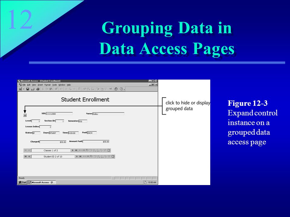 12 Grouping Data in Data Access Pages Figure 12-3 Expand control instance on a grouped data access page