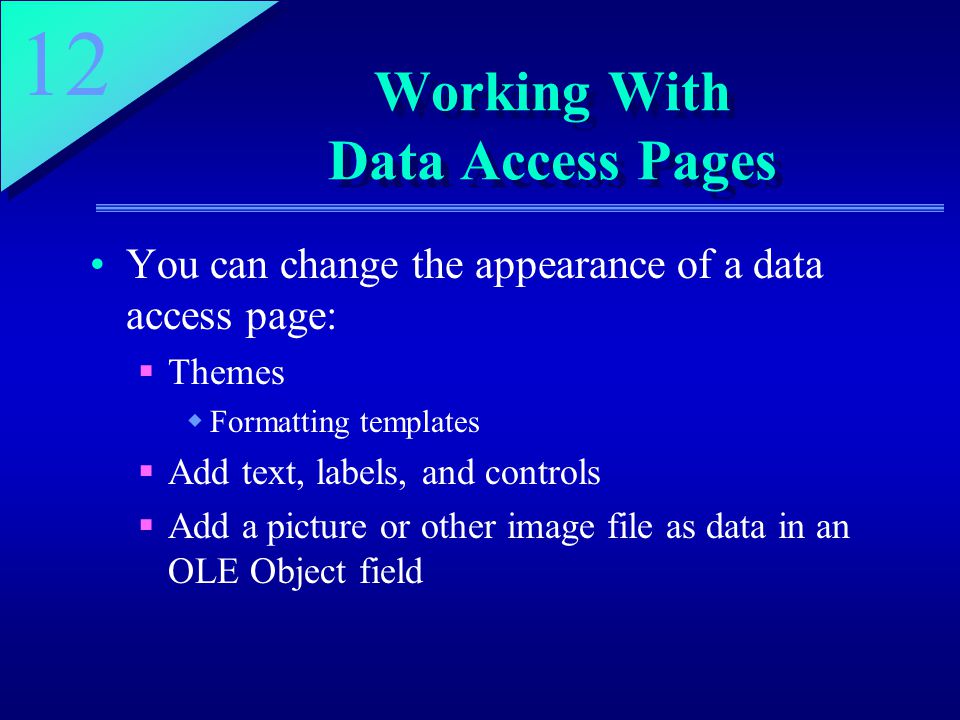 12 Working With Data Access Pages You can change the appearance of a data access page:  Themes  Formatting templates  Add text, labels, and controls  Add a picture or other image file as data in an OLE Object field