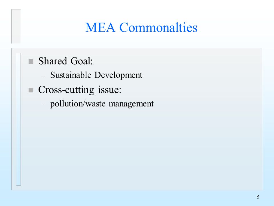 5 MEA Commonalties n Shared Goal: – Sustainable Development n Cross-cutting issue: – pollution/waste management