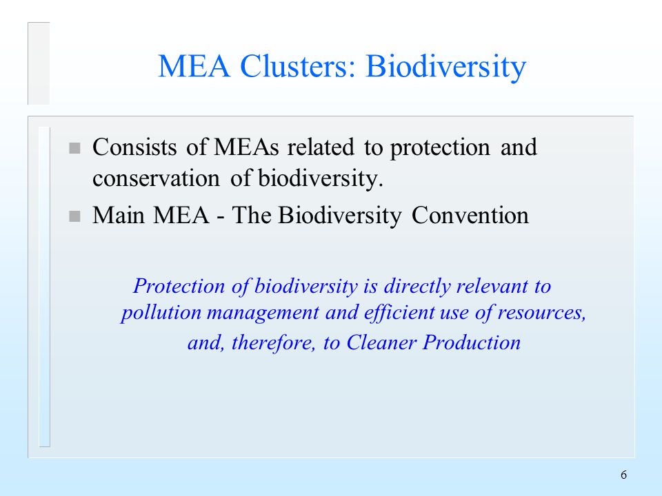 6 MEA Clusters: Biodiversity n Consists of MEAs related to protection and conservation of biodiversity.