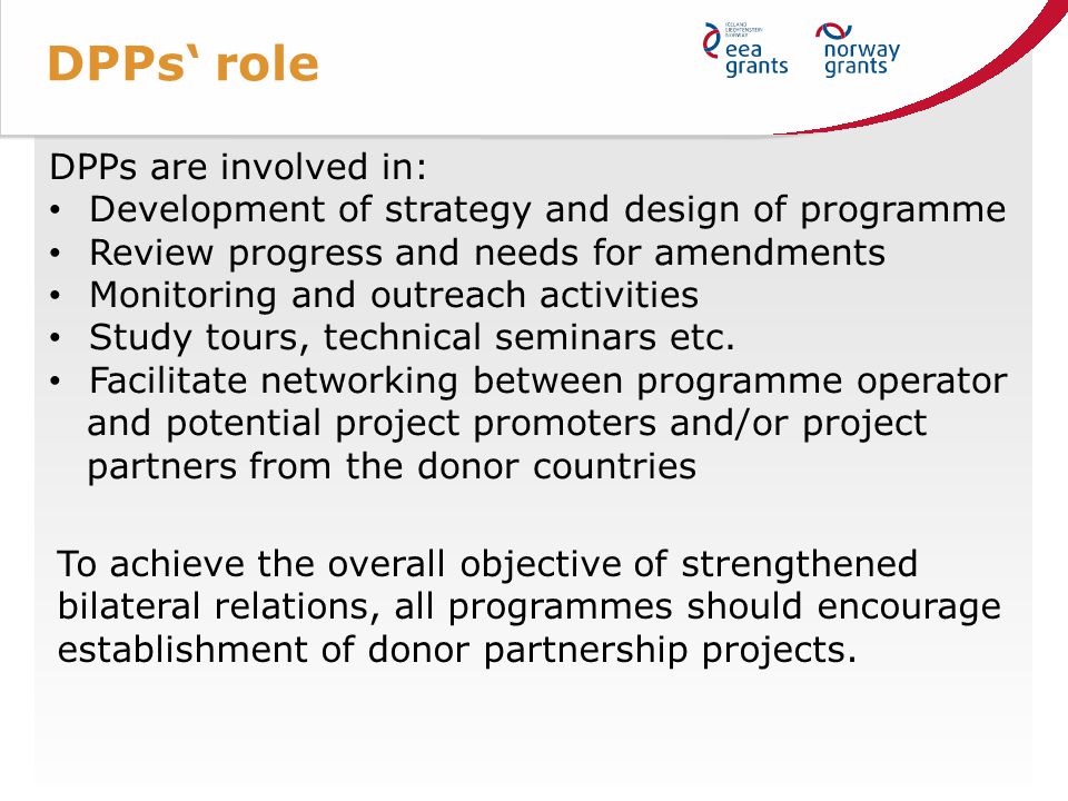DPPs‘ role DPPs are involved in: Development of strategy and design of programme Review progress and needs for amendments Monitoring and outreach activities Study tours, technical seminars etc.
