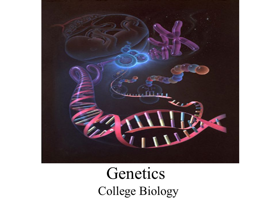 Genetics College Biology
