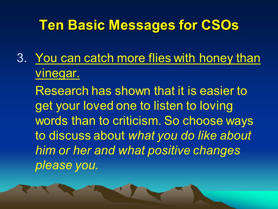 Ten Basic Messages for CSOs 3.You can catch more flies with honey than vinegar.