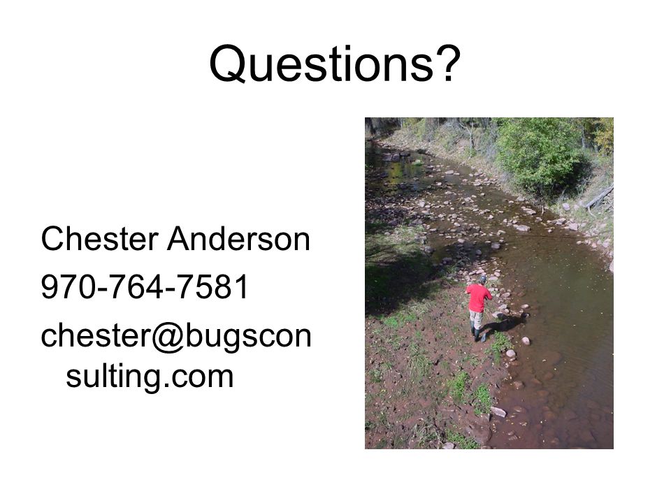 Questions Chester Anderson sulting.com