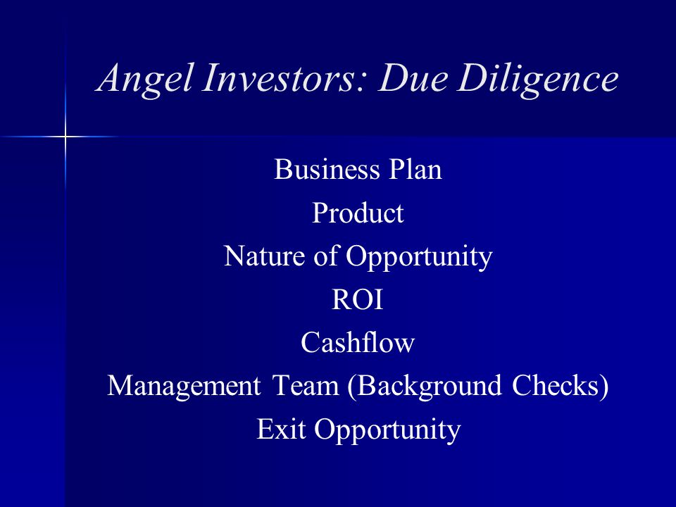 Angel Investors: Due Diligence Business Plan Product Nature of Opportunity ROI Cashflow Management Team (Background Checks) Exit Opportunity