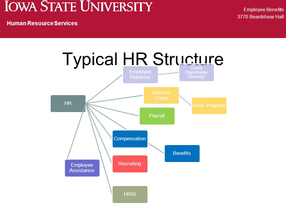 Typical HR Structure Employee Benefits 3770 Beardshear Hall Human Resource Services HR Employee Relations Equal Opportunity Diversity Workers Comp Leave Programs PayrollBenefitsCompensation Employee Assistance RecruitingHRIS