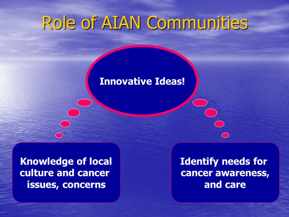 Role of AIAN Communities Knowledge of local culture and cancer issues, concerns Identify needs for cancer awareness, and care Innovative Ideas!