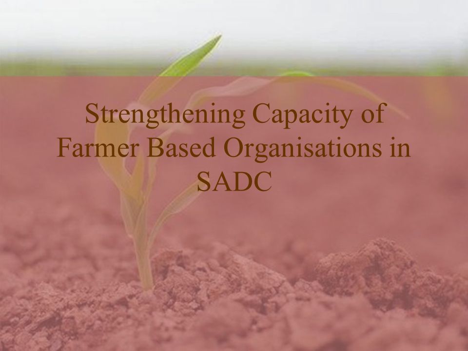 Strengthening Capacity of Farmer Based Organisations in SADC