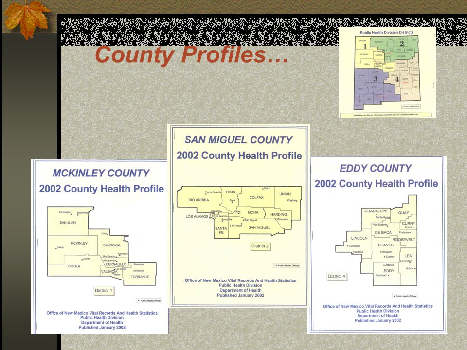 County Profiles…