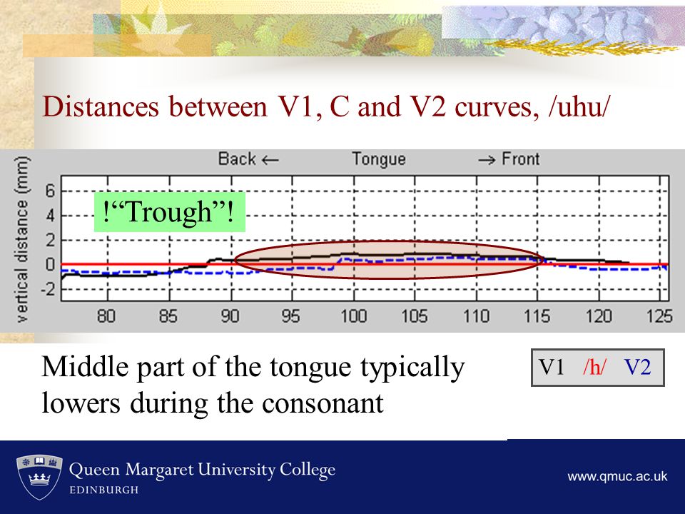 Distances between V1, C and V2 curves, /uhu/ V1 /h/ V2 Middle part of the tongue typically lowers during the consonant ! Trough !