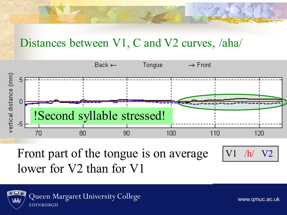 Distances between V1, C and V2 curves, /aha/ Front part of the tongue is on average lower for V2 than for V1 V1 /h/ V2 !Second syllable stressed!