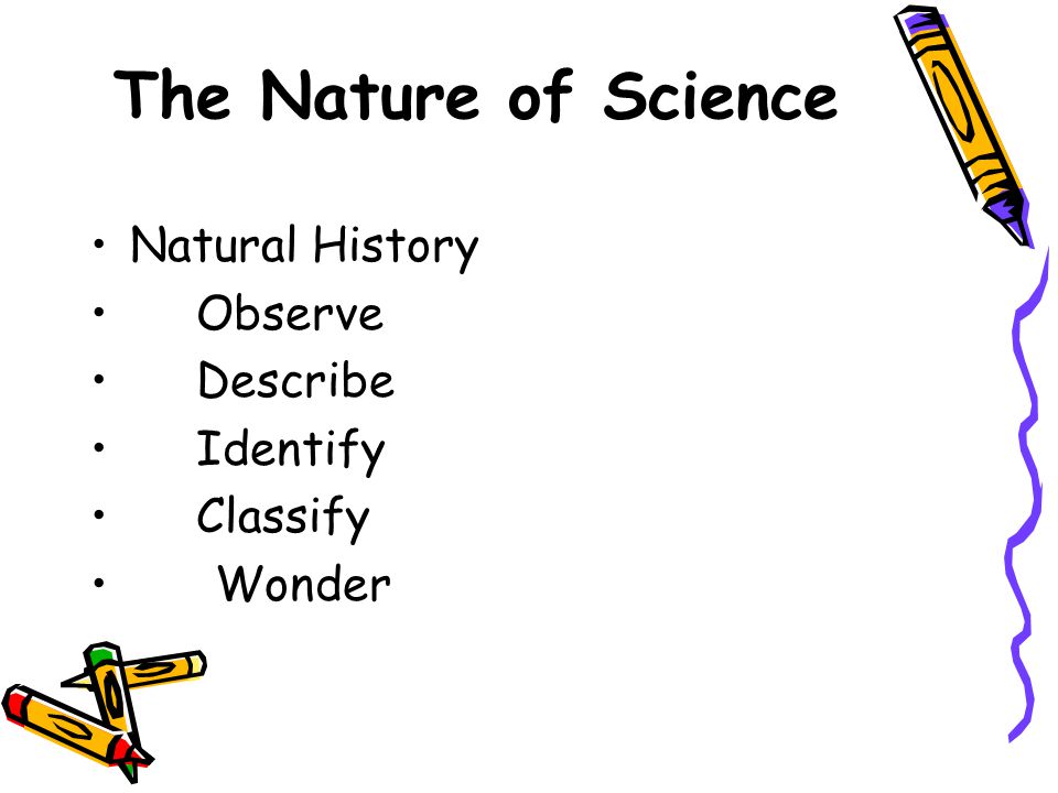 The Nature of Science Natural History Observe Describe Identify Classify Wonder