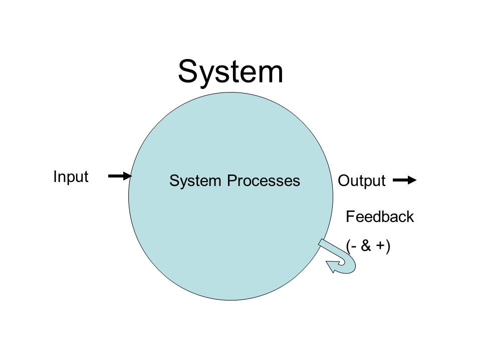 System Input Output Feedback (- & +) System Processes