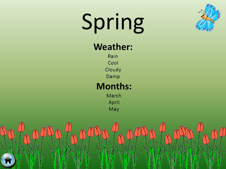 Spring Weather: Rain Cool Cloudy Damp Months: March April May